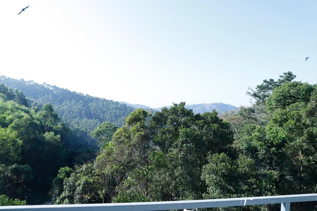 Casillda Munnar Hotel